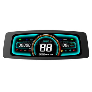 OEM ODM personalizza VA lcd BTN modulo display MONO display lcd ebike per veicoli E-bike - Product Image 5