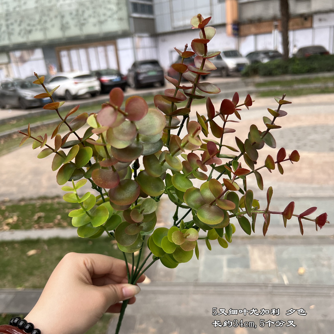 5 fourchettes feuille fine eucalyptus rouge