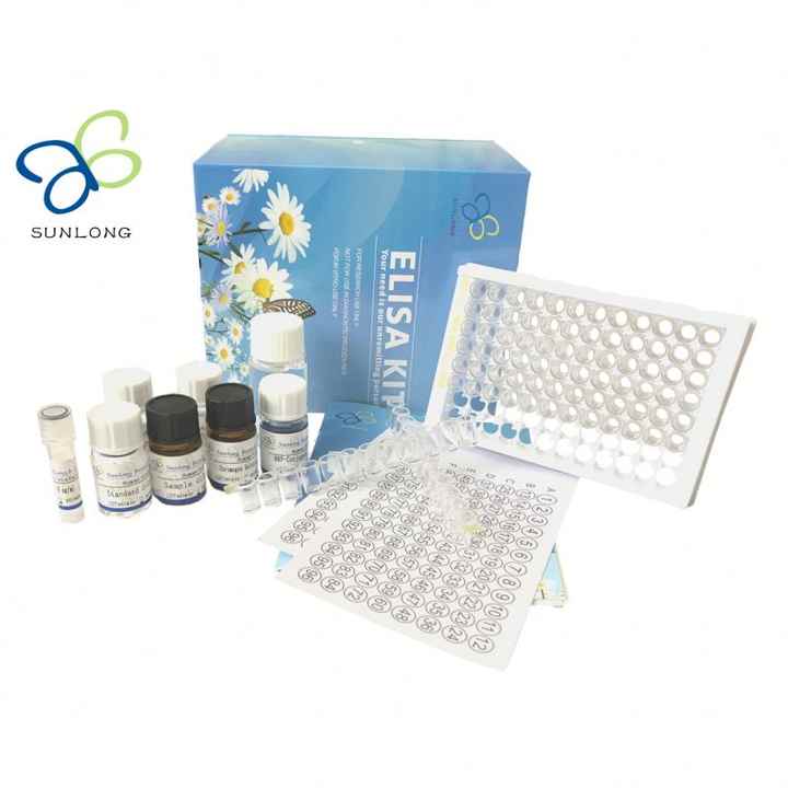 Rat signal Transducer and Activator of Transcription 3(stat3) ELISA Kit
