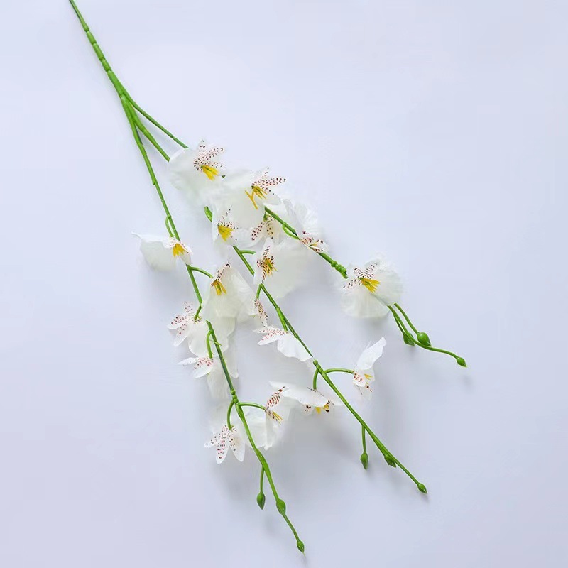 Orchidée dansante courte blanche