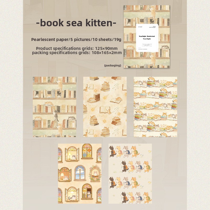 B Book Ocean Cat-blanc