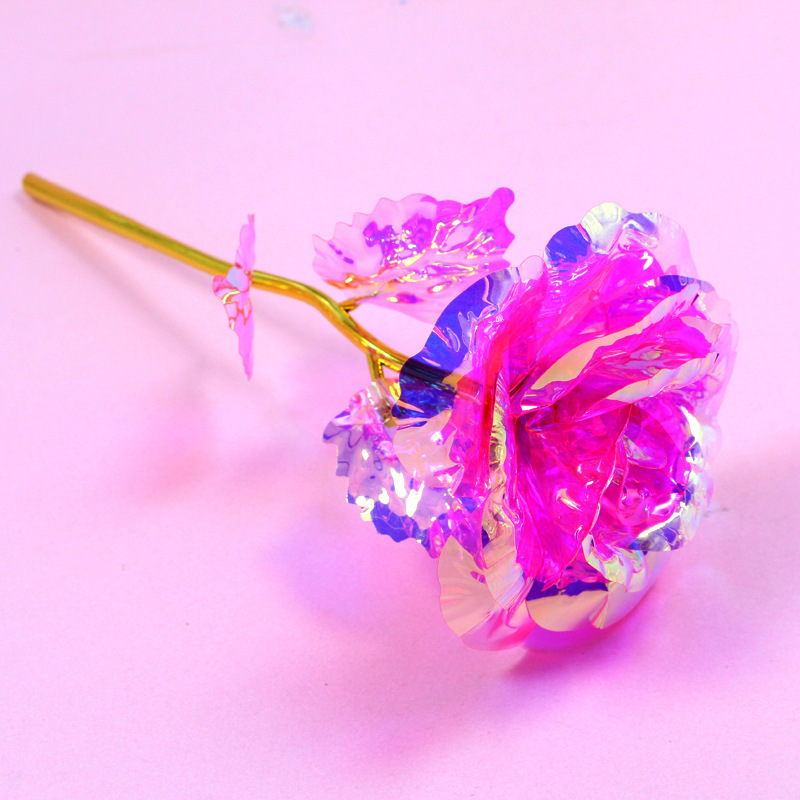 colorful One pink rose, 24 cm long.