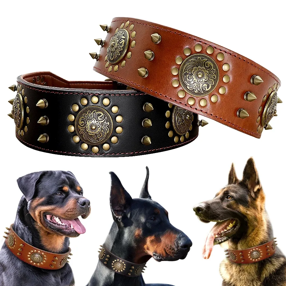 Leder Großes Hunde halsband Pitbull Spiked Nieten halsbänder für mittelgroße große große Hunde Echtes Leder Robustes Haustier halsband Braun
