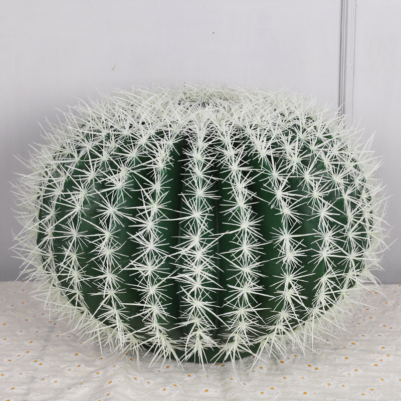 cactus diamètre 45cm