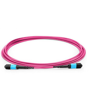 สายแพทช์ใยแก้วนำแสง Mpo (F) ถึง MPO (F) 12F LSZH 3.0เมตรสูญเสียน้ำหนักต่ำ - Product Image 3