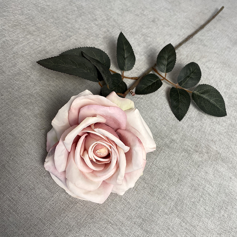 Rosa claro