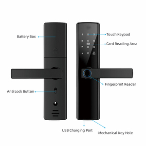 Di alta qualità Tuya Wifi Smart serratura della porta per appartamento a casa di impronte digitali maniglia della scheda App telecomando nuvola di controllo per il vetro