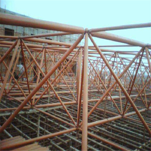 <strong>Advanced</strong> <strong>Computational</strong> Modeling of Space Frame Roof <strong>Systems</strong> for Industrial Building Projects - Product Image 5
