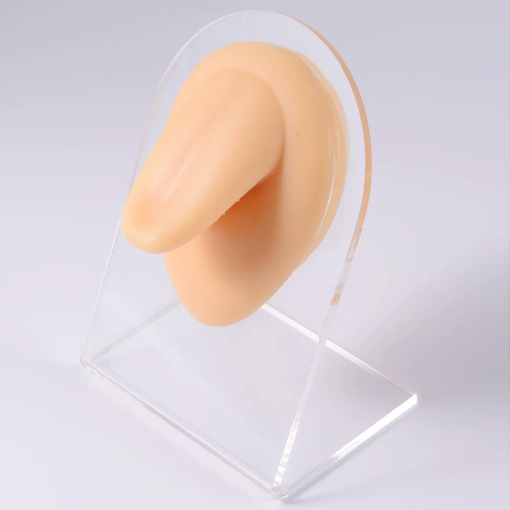 Lengua de piel