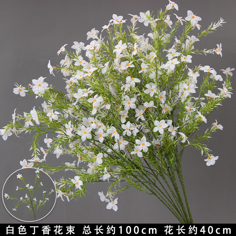 Bouquet de lilas blanc
