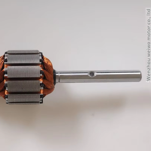 Özel tek fazlı DC Motor Rotor patlamaya dayanıklı itme çubuğu su YAĞ POMPASI uyarlanmış dış çap işleme - Product Image 1