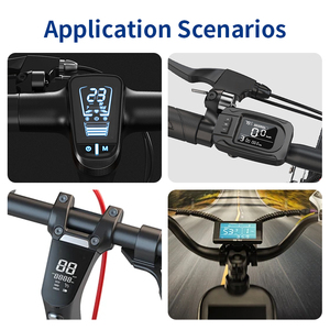 Werks großhandel Common Cathode Anode 12-polige kunden spezifische LED Digital 7-Segment-Anzeige Scooter LED-Anzeige - Product Image 4