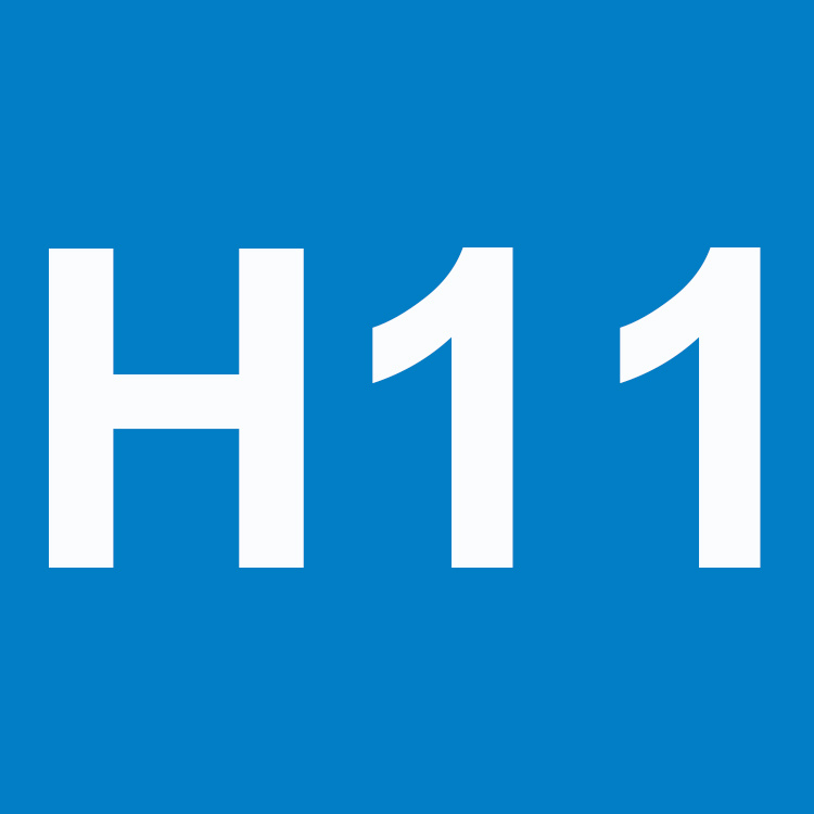 H11