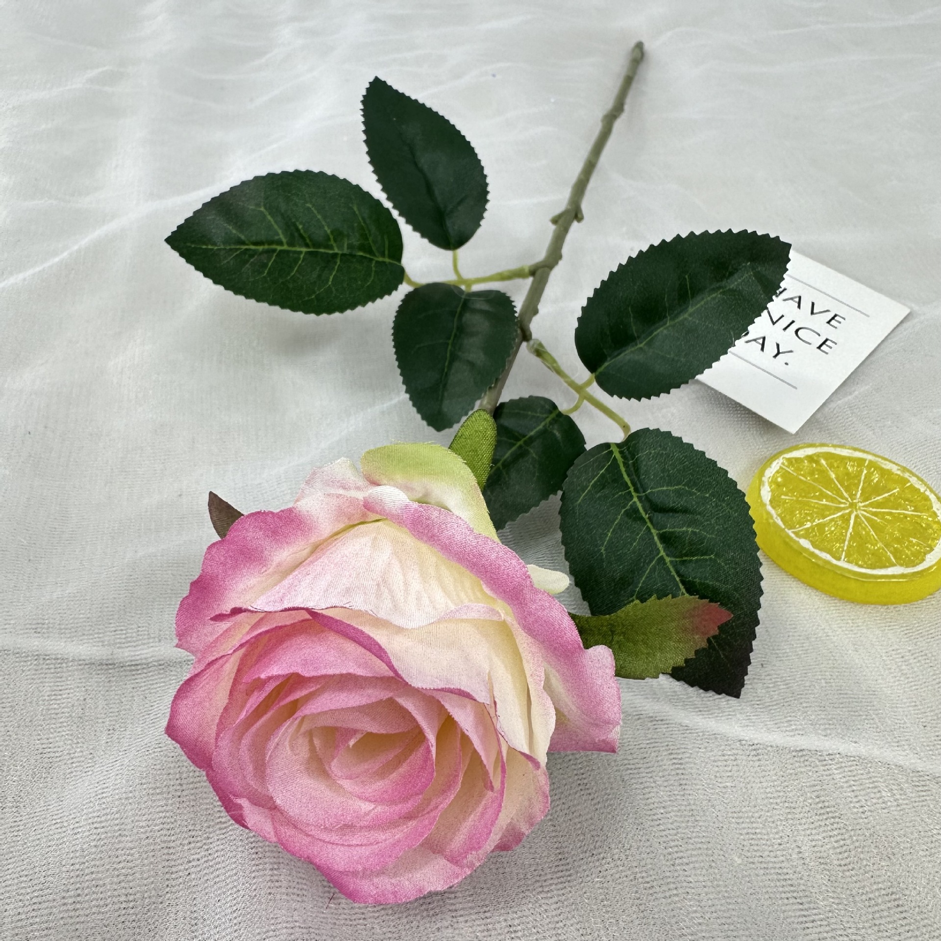 Light pink rose red