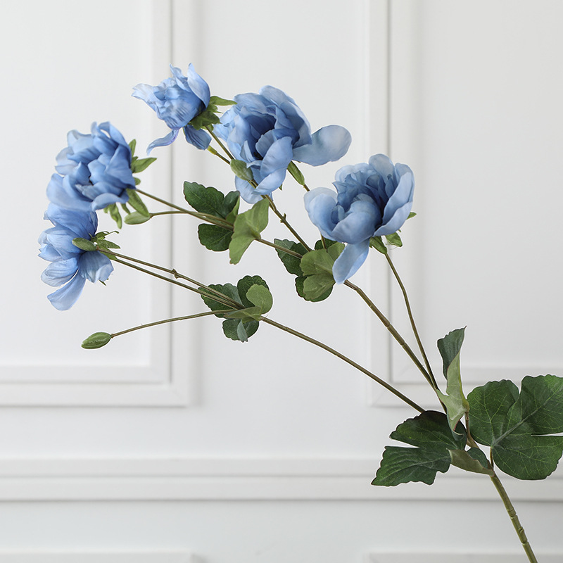 Bleu