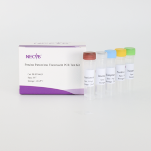 Porcine Parvovirus (PPV) Real-Time PCR Detection Kit | 48T/Box | CE Certified | Veterinary Diagnostic <strong>Test</strong> - Product Image 2