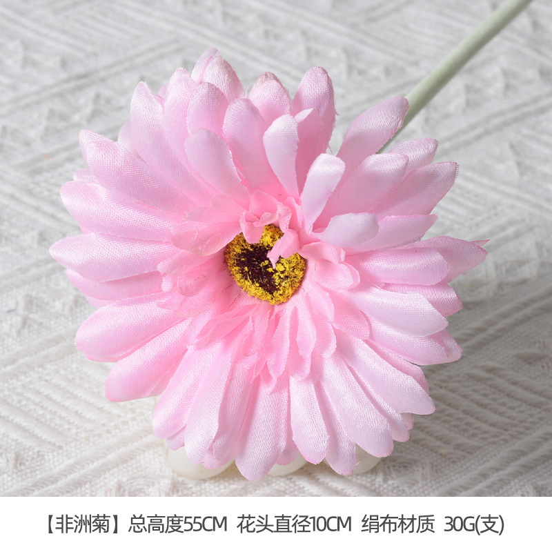 Gerbera rose