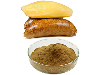 Yacon Shirley Fruit Polymnia Sonchifolia Saussurea Involucrata Fruit Extract Siroop Poeder - Product Image 1
