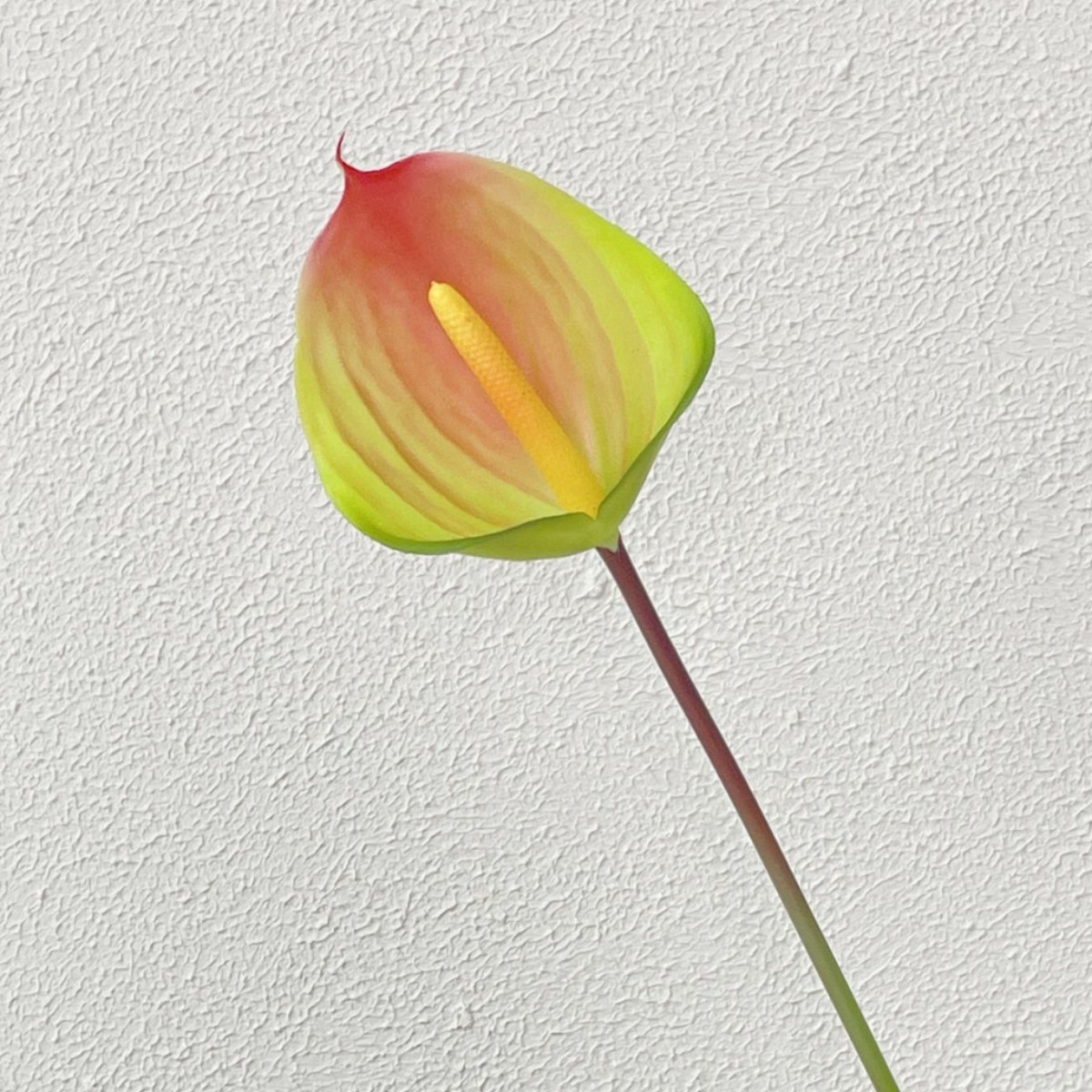 Rouge vert