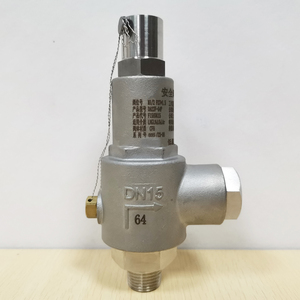 -196 Degree Stainless Steel 304 1/2inch 5Mpa NPT Cryogenic Relief <strong>Valve</strong> <strong>Spring</strong> Loaded <strong>Safety</strong> <strong>Valve</strong> For LOX
