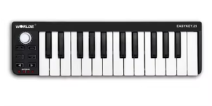 PANDAMINIc 25-Key Mini Digital EASYKEY.25 sintetizador plástico música MIDI controlador para accesorios de instrumentos musicales - Product Image 4
