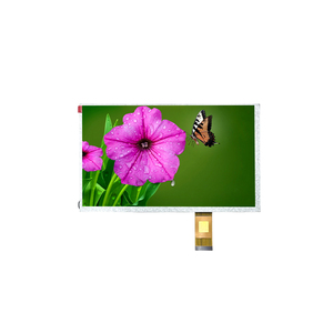 9 pollici 1024*600 TFT moduli LCD con Display CTP LVDS interfaccia RGB connessione LED retroilluminazione ip tipo da Richarmony - Product Image 1