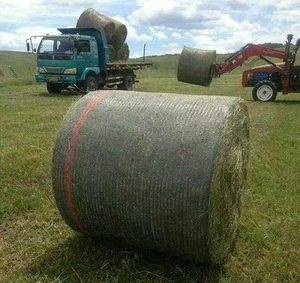 <span class=keywords><strong>HDPE</strong></span> Silage Ballen netz <span class=keywords><strong>PP</strong></span> Kunststoff Paletten verpackungs netz mit Schneid service Rollen verpackung