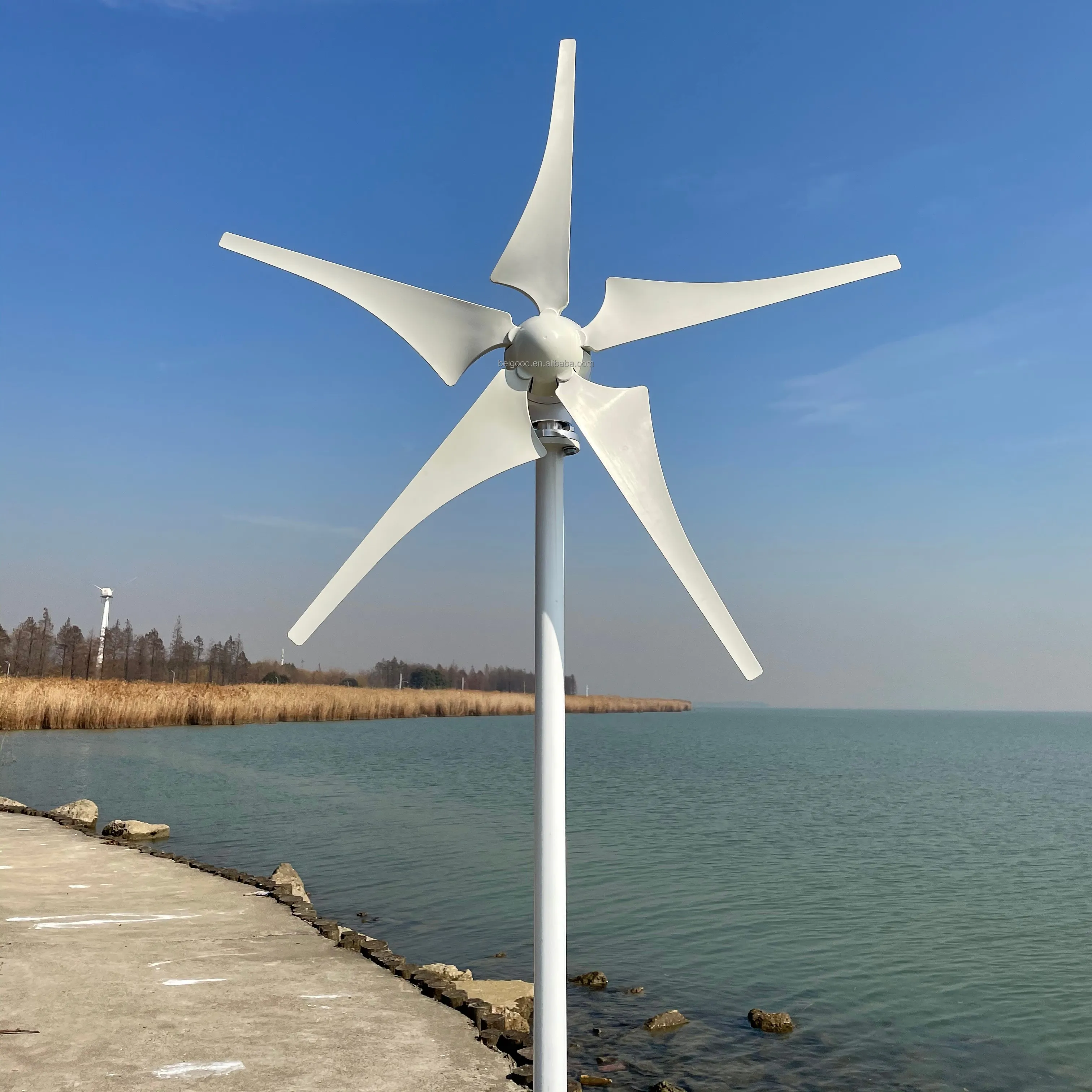 Sistema di generazione di energia elettrica gratuita per mulini eolici di alta moda turbina eolica 48v pala 1000w energia rinnovabile
