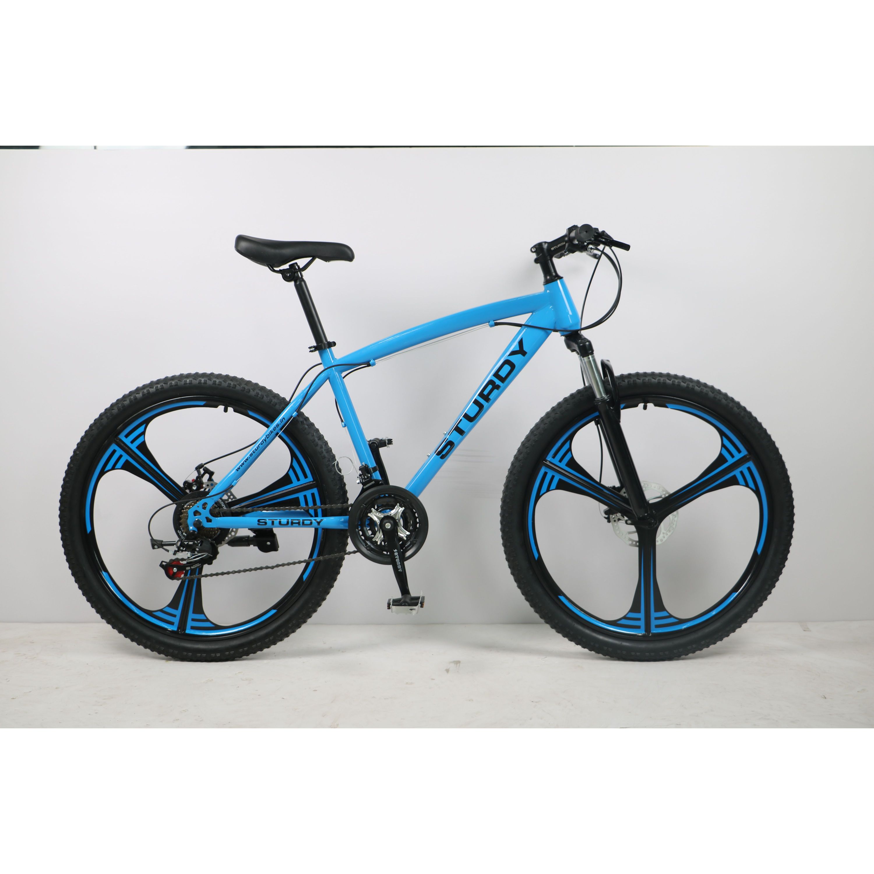 Custom bike
