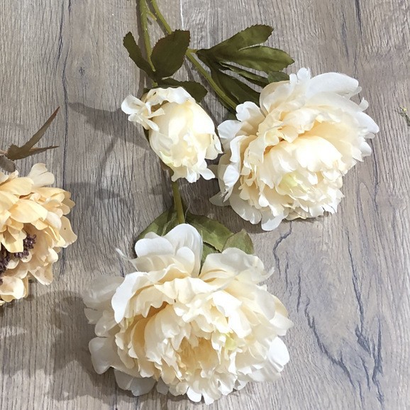 3 head auspicious peony champagne