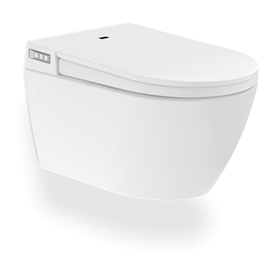 Toilette lavabo batı wc complet tankless commode wc-istuin askıya kendini kızarma duvar asılı tuvalet ve bide hepsi bir - Product Image 1