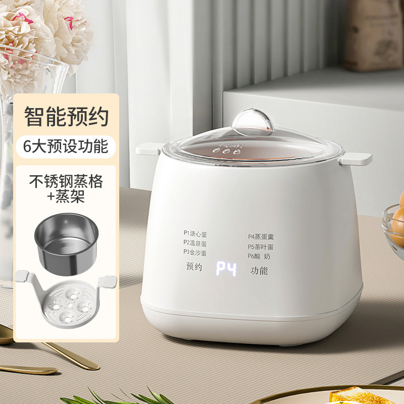 Stainless steel steamer with 6 preset modes