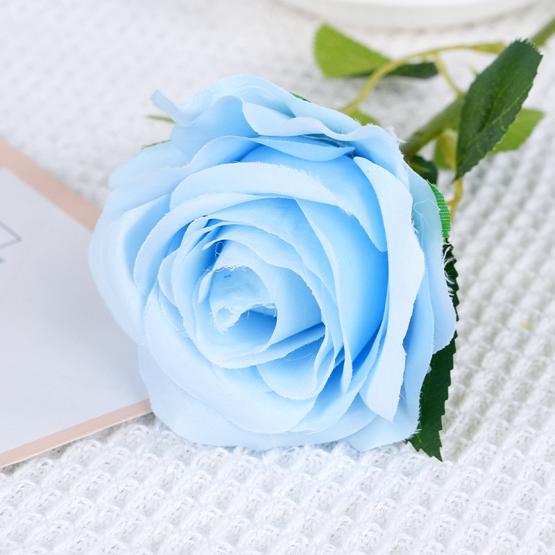 Rose soleil unique-bleu clair