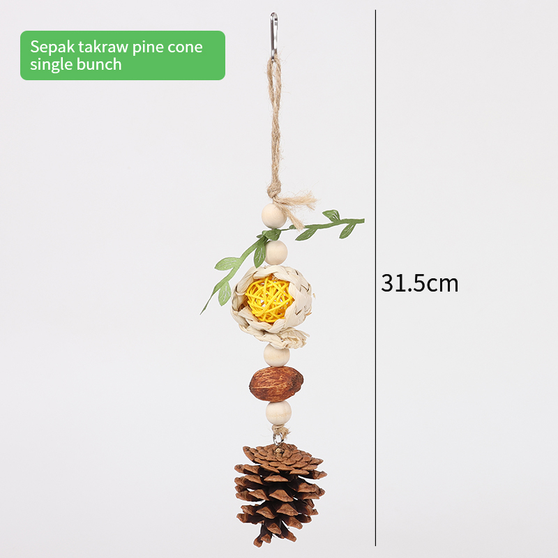 Sepak takraw pine cone single bunch