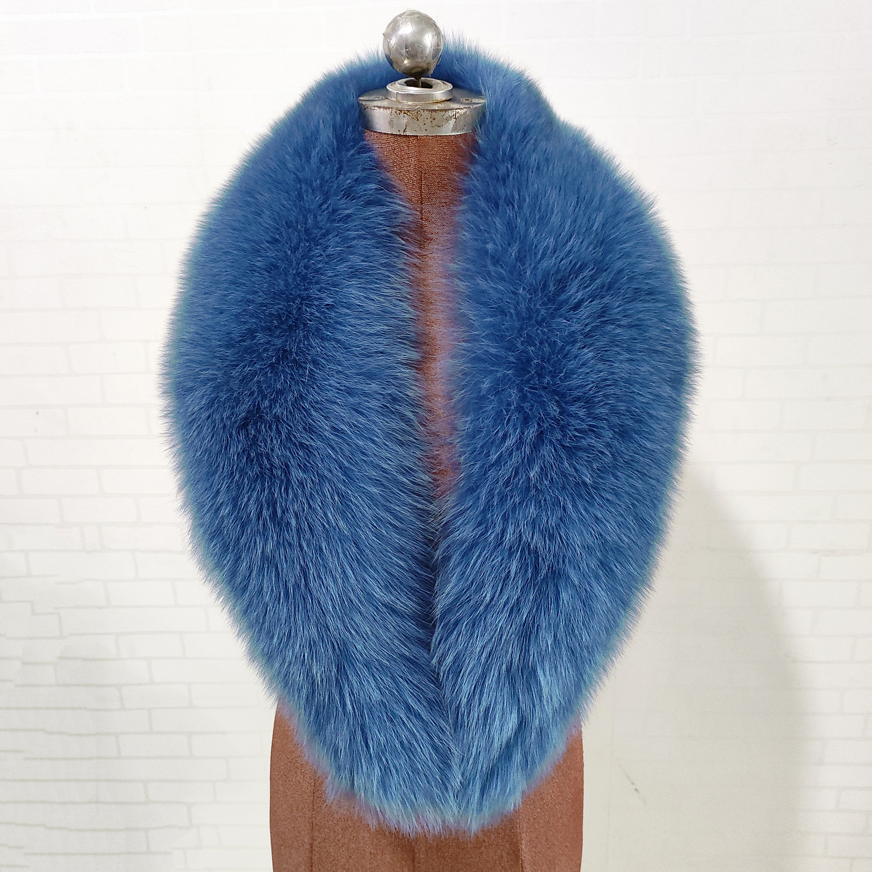 Paon Bleu