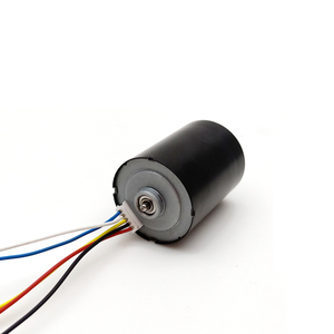 28mm*38mm 12 Volt Brushless Micro Motor 24v <strong>Low</strong> Noise High Rpm <strong>Dc</strong> Electric Bldc Motor With Cw Ccw <strong>Pwm</strong> <strong>Control</strong> 8w - Product Image 2