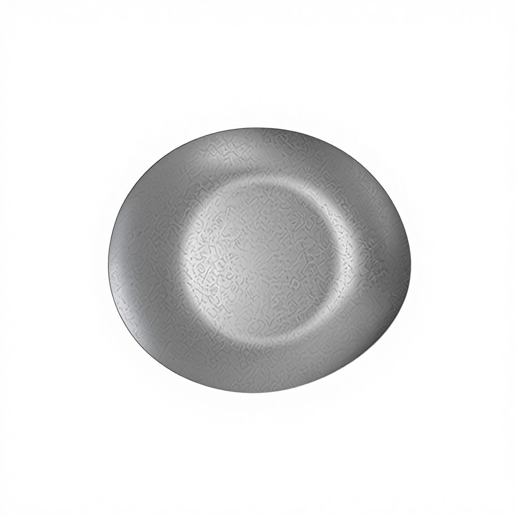 Assiette ovale peu profonde