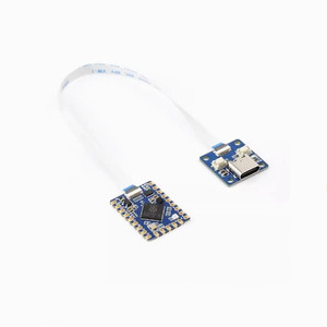 Modül RP2040-Tiny geliştirme devre kartı modülü sıfır ahududu Pi PICO USB tip C arayüzü 264KB SRAM 2MB flaş C/C + + Arduino için