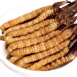 Hữu cơ khô dong trung ha thao Top Grade Cordyceps Sinensis tinh khiết Hoang Dã Tây Tạng Cordyceps Sinensis - Product Image 3
