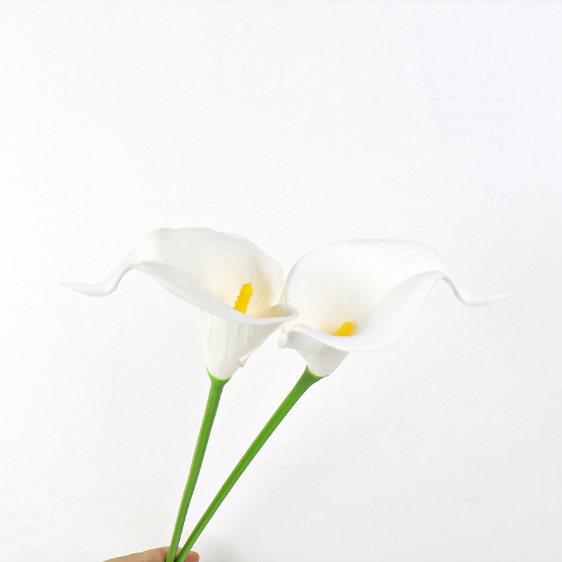 Blanco puro (núcleo amarillo)
