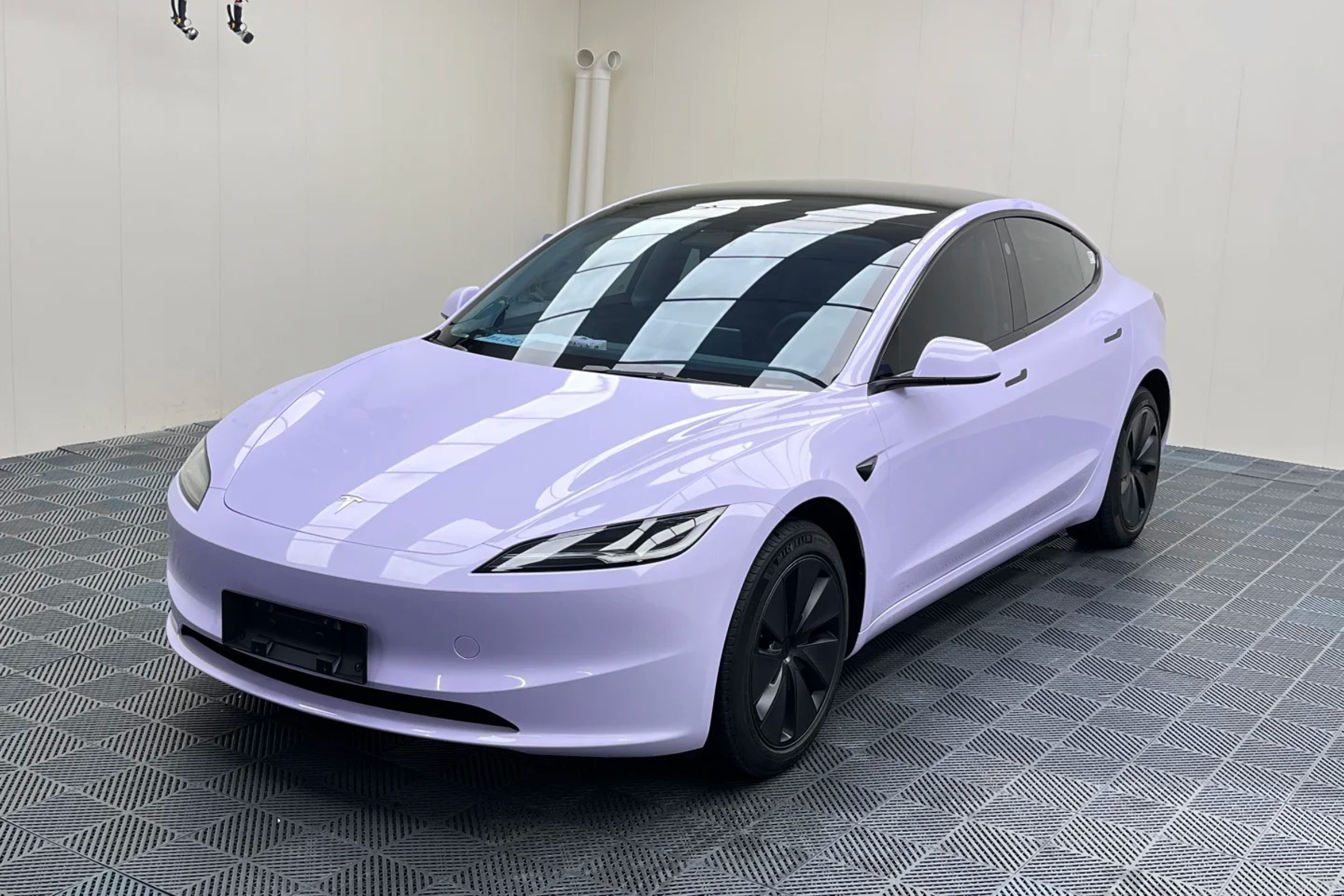 Starde Purple