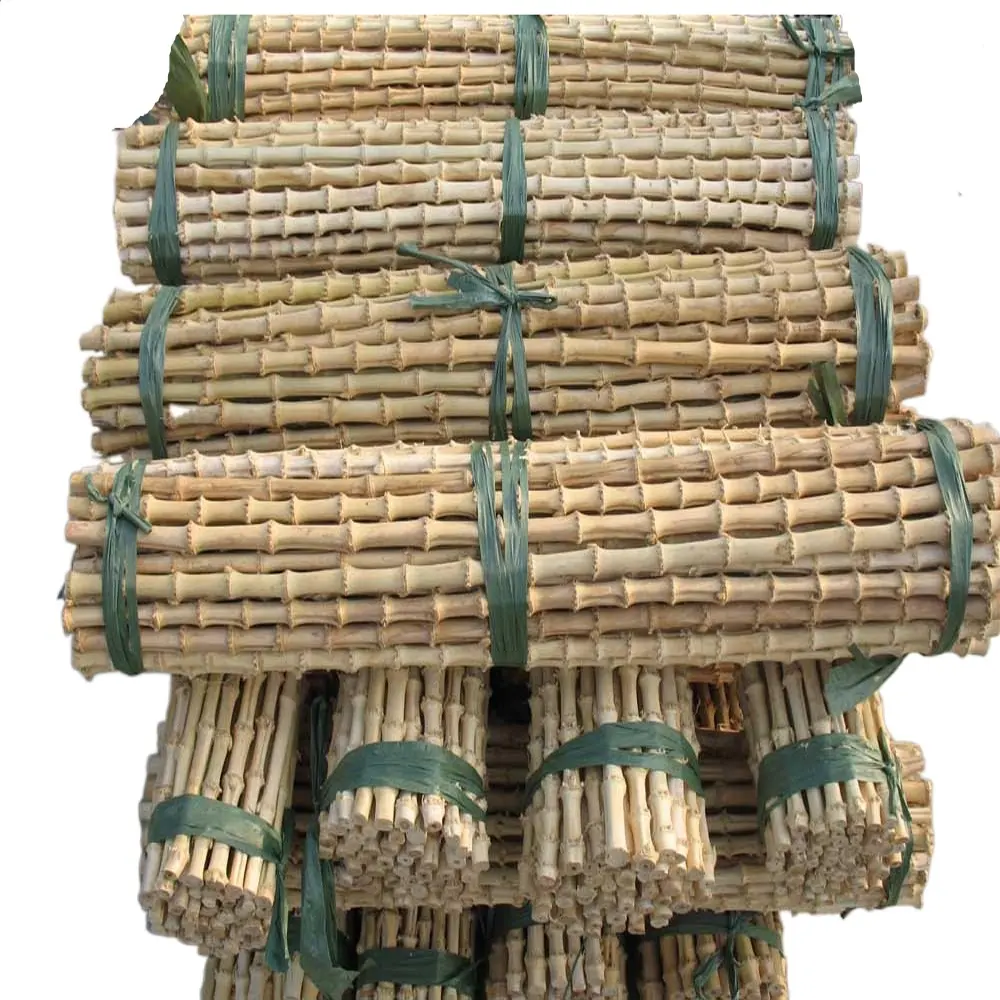 Bastones de raíz de bambú, raíz de bambú recta para bastón, asas de bolsa