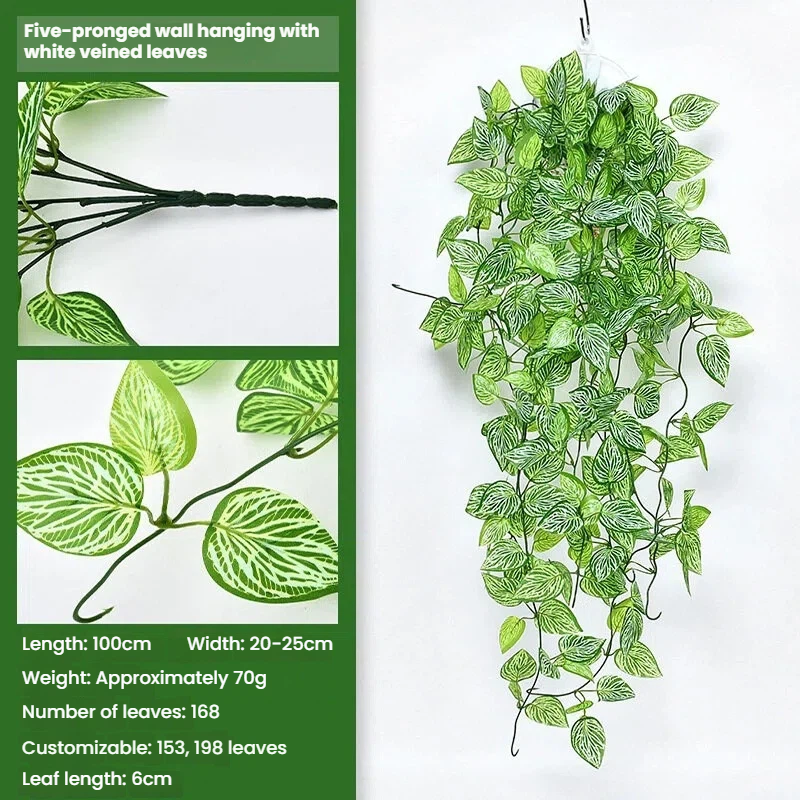 White-veined leaves