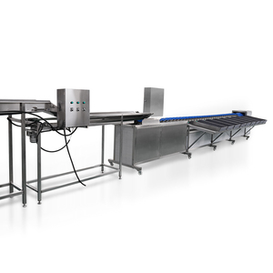 Gran oferta automática, sistema de clasificación de peso, máquina de pesaje de clasificación, comprobador de peso, máquina clasificadora de nivel 5 - Product Image 6
