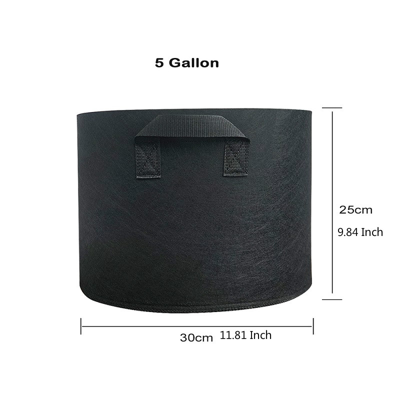 Noir 5 gallons