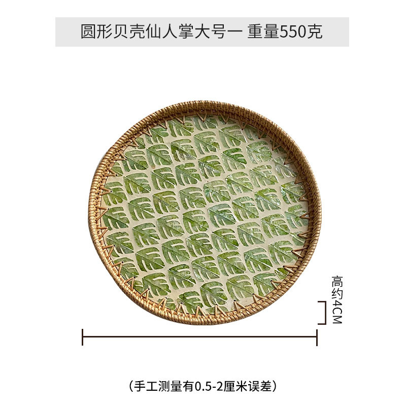 Cactus à coquille ronde grand 35cm