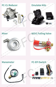 CNG Sequential Injection Kit Conversion System der 3. Generation von FC mit ECU und Reduzier stück für Automobil anwendungen
