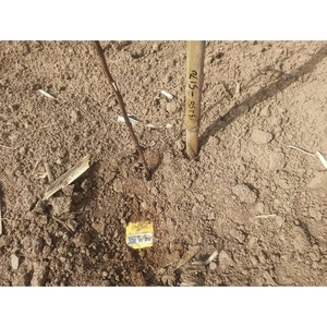 地震采集节点仪器系统工程地震仪/地震探测器/分析仪 - Product Image 2