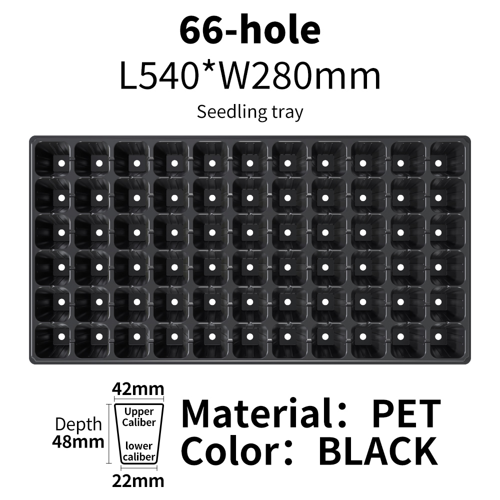 Cellules noires 66