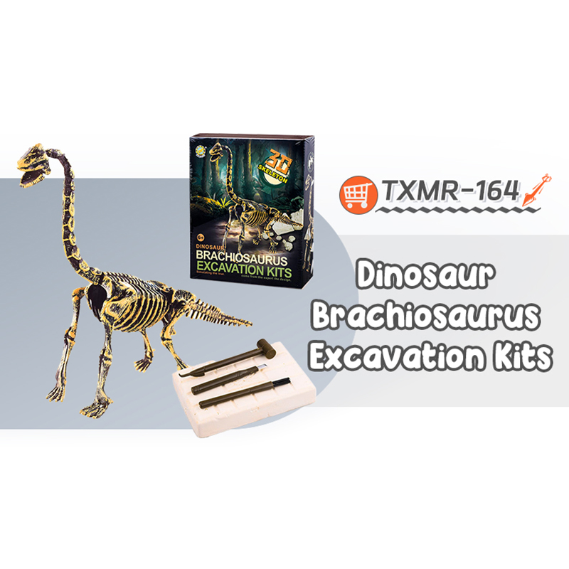 TXMR-164